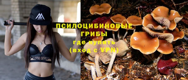 спиды Заволжье