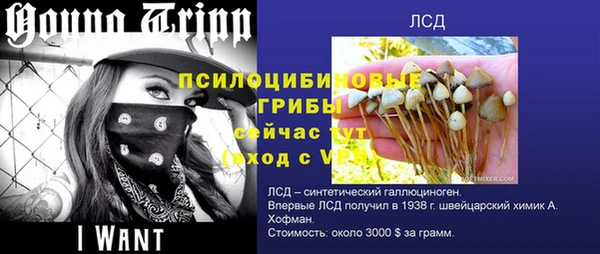 прущая мука Аркадак