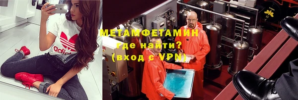 прущие грибы Гусь-Хрустальный