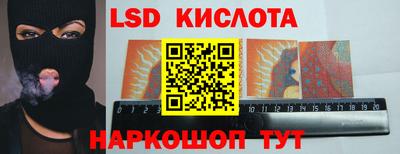 гидропоника Гусев