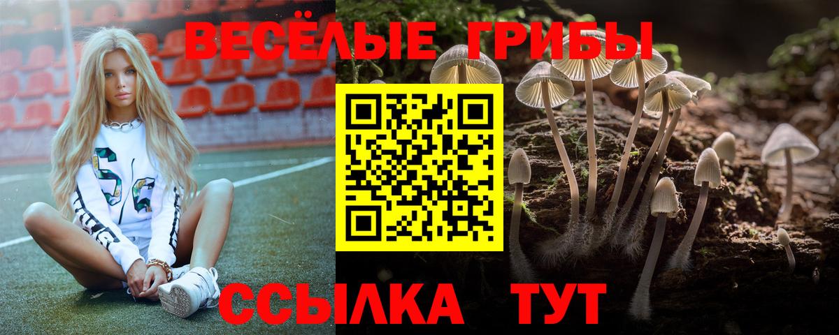 Псилоцибиновые грибы прущие грибы Каспийск
